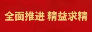 履践致远向未来 | 洛阳milan米兰(中国)官方网站-登录入口精英特训营“磐石计划”精益生产项目召开复盘追踪会