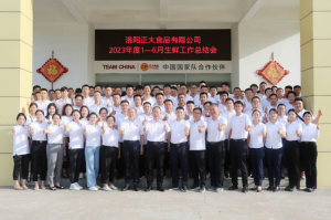 总结过去，计划未来，协同创新，再创佳绩！洛阳milan米兰(中国)官方网站-登录入口举行2023年上半年工作总结会议